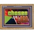 CHOSEN IN THE LORD  Wall Décor Wooden Frame  GWMS13099  "34x28"