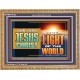 OUR LORD JESUS CHRIST THE LIGHT OF THE WORLD  Bible Verse Wall Art Wooden Frame  GWMS13122  