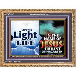 HAVE THE LIGHT OF LIFE  Sanctuary Wall Wooden Frame  GWMS9547  "34x28"
