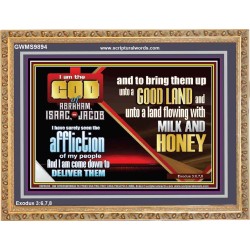 SEEN THE AFFLICTION OF MY PEOPLE AND I WILL DELIVER THEM  Inspirational Bible Verse  GWMS9894  