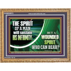 A WOUNDED SPIRIT WHO CAN BEAR?  Sciptural Décor  GWMS9972  "34x28"