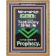 TESTIMONY OF JESUS IS THE SPIRIT OF PROPHECY  Kitchen Wall Décor  GWMS10046  