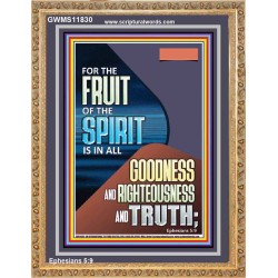 FRUIT OF THE SPIRIT IS IN ALL GOODNESS, RIGHTEOUSNESS AND TRUTH  Custom Contemporary Christian Wall Art  GWMS11830  "28x34"
