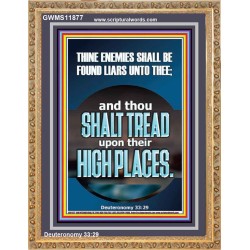 THINE ENEMIES SHALL BE FOUND LIARS UNTO THEE  Printable Bible Verses to Portrait  GWMS11877  