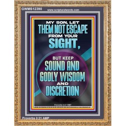 KEEP SOUND AND GODLY WISDOM AND DISCRETION  Bible Verse for Home Portrait  GWMS12390  "28x34"