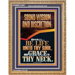 SOUND WISDOM AND DISCRETION SHALL BE LIFE UNTO THY SOUL  Bible Verse for Home Portrait  GWMS12391  "28x34"