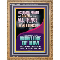 HIS DIVINE POWERS HATH GIVEN UNTO US ALL THINGS  Eternal Power Picture  GWMS12421  "28x34"