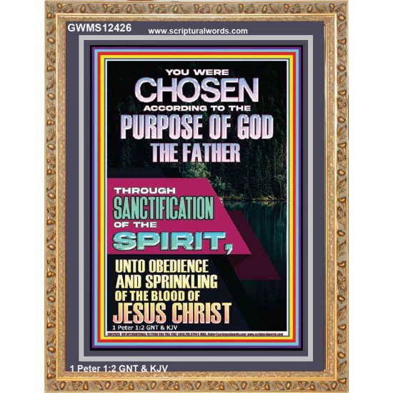 CHOSEN ACCORDING TO THE PURPOSE OF GOD THROUGH SANCTIFICATION OF THE SPIRIT  Unique Scriptural Portrait  GWMS12426  