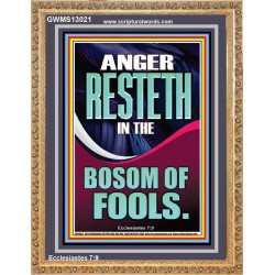 ANGER RESTETH IN THE BOSOM OF FOOLS  Encouraging Bible Verse Portrait  GWMS13021  "28x34"