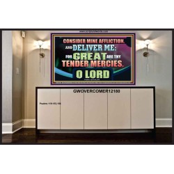 GREAT ARE THY TENDER MERCIES O LORD  Unique Scriptural Picture  GWOVERCOMER12180  "62x44"