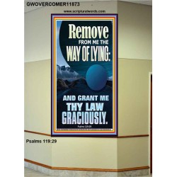 REMOVE FROM ME THE WAY OF LYING  Bible Verse for Home Portrait  GWOVERCOMER11873  "44X62"