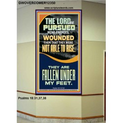 MY ENEMIES ARE FALLEN UNDER MY FEET  Bible Verse for Home Portrait  GWOVERCOMER12350  "44X62"