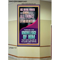 HIS DIVINE POWERS HATH GIVEN UNTO US ALL THINGS  Eternal Power Picture  GWOVERCOMER12421  "44X62"