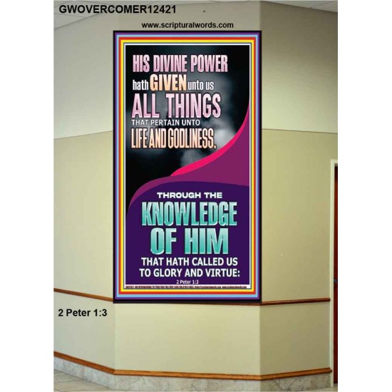 HIS DIVINE POWERS HATH GIVEN UNTO US ALL THINGS  Eternal Power Picture  GWOVERCOMER12421  