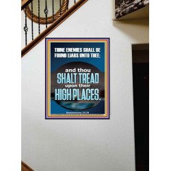 THINE ENEMIES SHALL BE FOUND LIARS UNTO THEE  Printable Bible Verses to Portrait  GWOVERCOMER11877  "44X62"