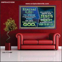 ETERNAL LIFE IS TO KNOW AND DWELL IN HIM CHRIST JESUS  Church Poster  GWPEACE10395  "14X12"