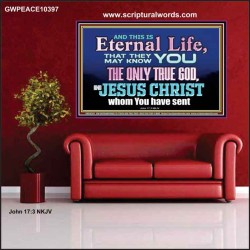 CHRIST JESUS THE ONLY WAY TO ETERNAL LIFE  Sanctuary Wall Poster  GWPEACE10397  "14X12"