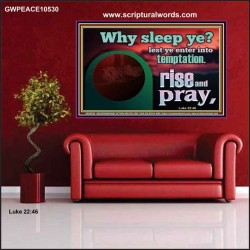 WHY SLEEP YE RISE AND PRAY  Unique Scriptural Poster  GWPEACE10530  "14X12"