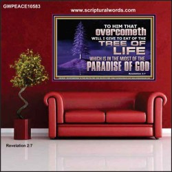 HE THAT OVERCOMETH  Bible Verse Poster  GWPEACE10583  