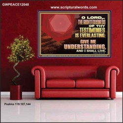 THE RIGHTEOUSNESS OF THY TESTIMONIES IS EVERLASTING O LORD  Religious Wall Art   GWPEACE12048  "14X12"