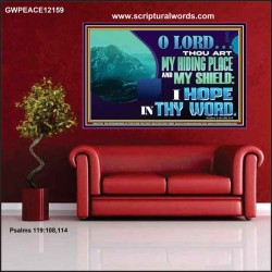 THOU ART MY HIDING PLACE AND SHIELD  Large Custom Poster   GWPEACE12159  "14X12"