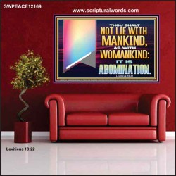 THOU SHALT NOT LIE WITH MANKIND AS WITH WOMANKIND IT IS ABOMINATION  Bible Verse for Home Poster  GWPEACE12169  "14X12"