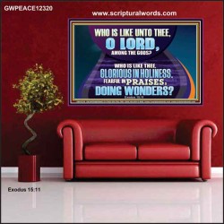 FEARFUL IN PRAISES DOING WONDERS  Ultimate Inspirational Wall Art Poster  GWPEACE12320  "14X12"