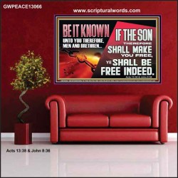 IF THE SON THEREFORE SHALL MAKE YOU FREE  Ultimate Inspirational Wall Art Poster  GWPEACE13066  