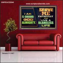 EL SHADDAI GOD ALMIGHTY  Unique Scriptural Poster  GWPEACE9540  "14X12"