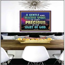 GENTLE AND PEACEFUL SPIRIT VERY PRECIOUS IN GOD SIGHT  Bible Verses to Encourage  Poster  GWPEACE10496  "14X12"