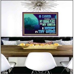 THOU ART MY HIDING PLACE AND SHIELD  Large Custom Poster   GWPEACE12159  "14X12"