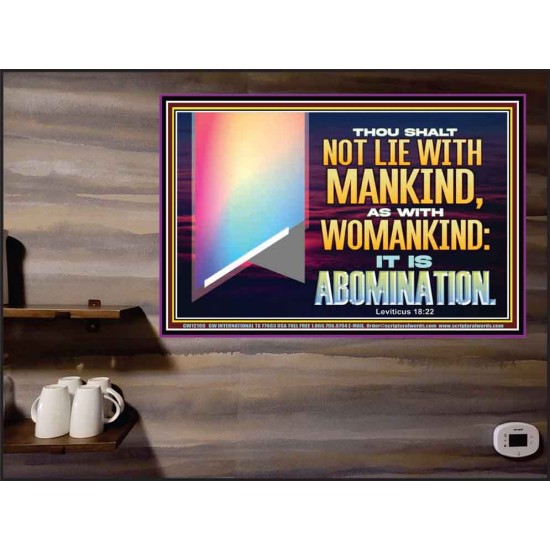 THOU SHALT NOT LIE WITH MANKIND AS WITH WOMANKIND IT IS ABOMINATION  Bible Verse for Home Poster  GWPEACE12169  