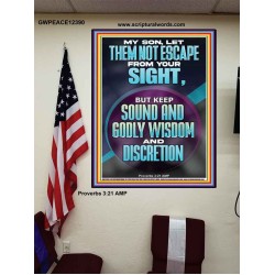 KEEP SOUND AND GODLY WISDOM AND DISCRETION  Bible Verse for Home Poster  GWPEACE12390  "12X14"