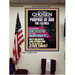 CHOSEN ACCORDING TO THE PURPOSE OF GOD THROUGH SANCTIFICATION OF THE SPIRIT  Unique Scriptural Poster  GWPEACE12426  "12X14"