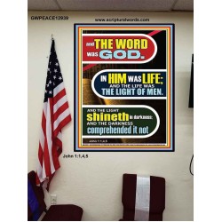 IN HIM WAS LIFE AND THE LIFE WAS THE LIGHT OF MEN  Eternal Power Poster  GWPEACE12939  "12X14"