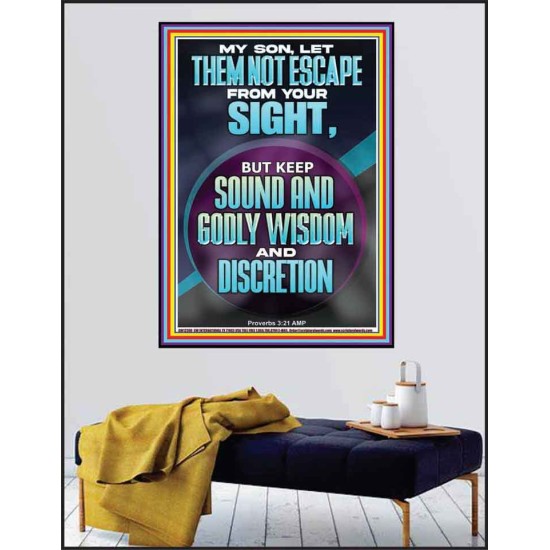 KEEP SOUND AND GODLY WISDOM AND DISCRETION  Bible Verse for Home Poster  GWPEACE12390  