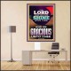 THE LORD BE GRACIOUS UNTO THEE  Unique Scriptural Poster  GWPEACE9991  