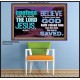 IN CHRIST JESUS IS ULTIMATE DELIVERANCE  Bible Verse for Home Poster  GWPOSTER10343  