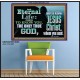 ETERNAL LIFE ONLY THROUGH CHRIST JESUS  Children Room  GWPOSTER10396  