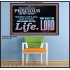 YOU ARE PRECIOUS IN THE SIGHT OF THE LIVING GOD  Modern Christian Wall Décor  GWPOSTER10490  "36x24"