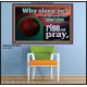 WHY SLEEP YE RISE AND PRAY  Unique Scriptural Poster  GWPOSTER10530  