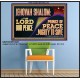 JEHOVAH SHALOM THE LORD OUR PEACE PRINCE OF PEACE  Righteous Living Christian Poster  GWPOSTER12251  