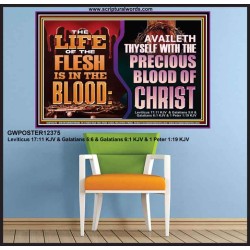 AVAILETH THYSELF WITH THE PRECIOUS BLOOD OF CHRIST  Children Room  GWPOSTER12375  "36x24"