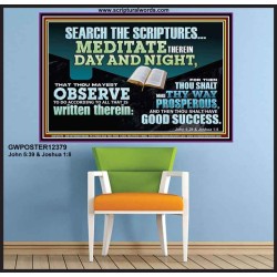 SEARCH THE SCRIPTURES MEDITATE THEREIN DAY AND NIGHT  Unique Power Bible Poster  GWPOSTER12379  