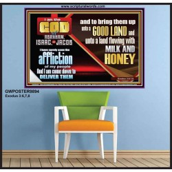 SEEN THE AFFLICTION OF MY PEOPLE AND I WILL DELIVER THEM  Inspirational Bible Verse  GWPOSTER9894  