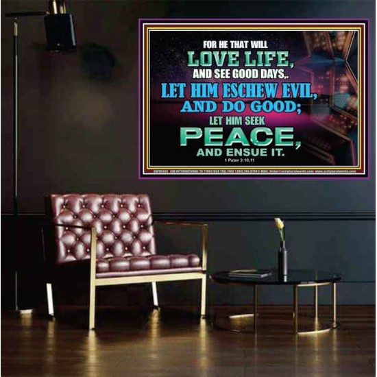 SEEK AND PURSUE PEACE  Biblical Paintings Poster  GWPOSTER10485B  