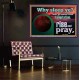 WHY SLEEP YE RISE AND PRAY  Unique Scriptural Poster  GWPOSTER10530  