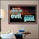 FOLLOW NOT WHICH IS EVIL  Custom Christian Artwork Poster  GWPOSTER10309  