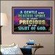 GENTLE AND PEACEFUL SPIRIT VERY PRECIOUS IN GOD SIGHT  Bible Verses to Encourage  Poster  GWPOSTER10496  