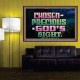 CHOSEN AND PRECIOUS IN THE SIGHT OF GOD  Modern Christian Wall Décor Poster  GWPOSTER10494  